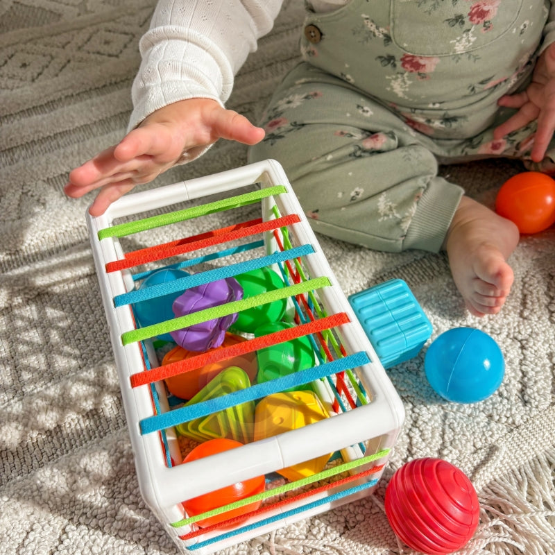 3f01c0851b698172f32c3e0398b9921b