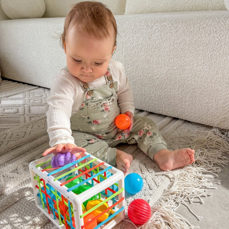 14117c92ef656d573b4d2e113f1cb8b4